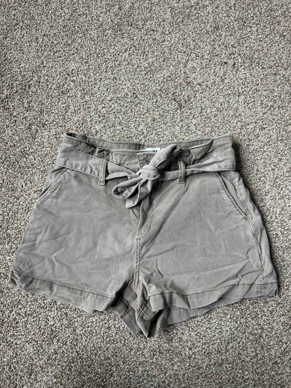 PAIGE shorts 29